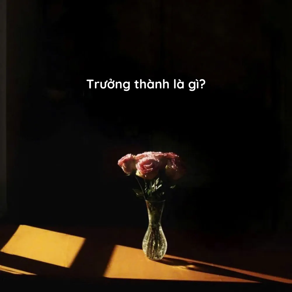 Sống - Trưởng thành là gì? Trưởng thành là khi bạn chọn im lặng, không phải vì yếu đuối